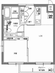 パティーナV代々木上原の物件間取画像